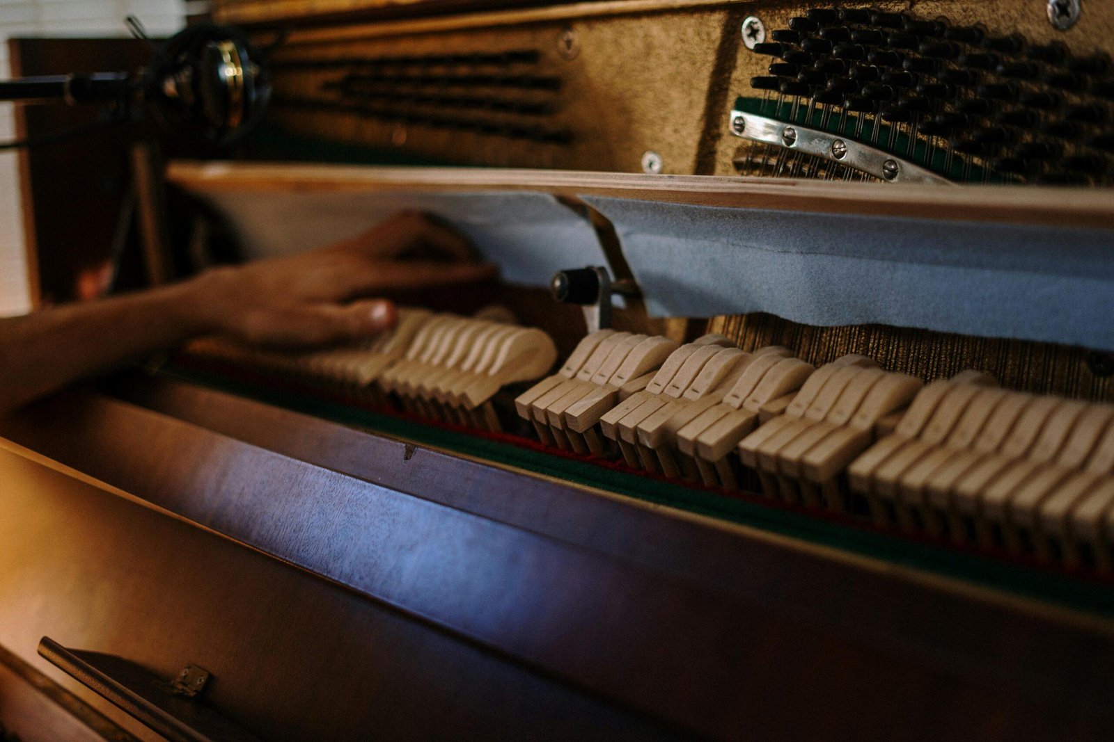 Interior of Piano
